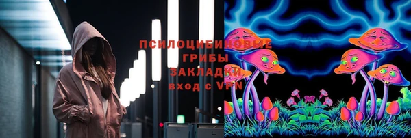 герыч Арсеньев