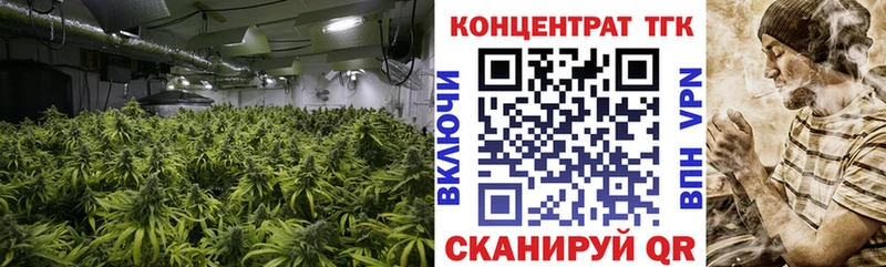 мега вход  нарко площадка телеграм  Ельня  ТГК концентрат  сколько стоит 