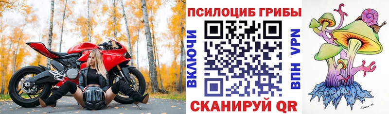 Галлюциногенные грибы Psilocybine cubensis  Ельня 