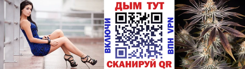 Шишки марихуана THC 21%  mega зеркало  Ельня  купить наркоту 